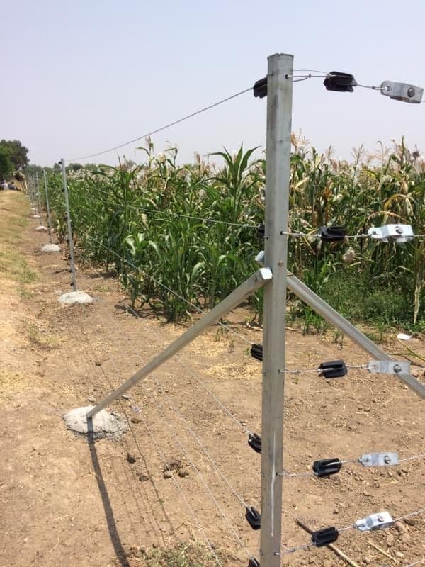 End Pole For Solar Fencing