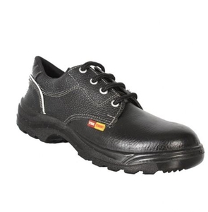 Safety Shoes Single Density Tektron Protective 6
