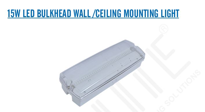 15W Bulkhead Wall or Ceiling Mounting Light